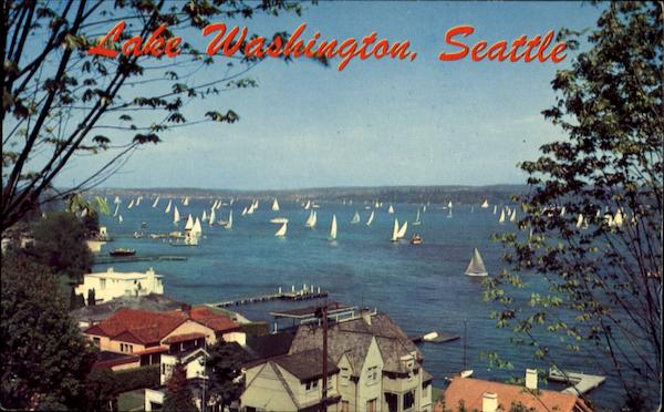 Sailboat Racing On Lake Washington Seattle