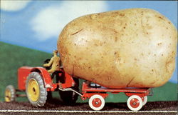 Giant Potato Postcard