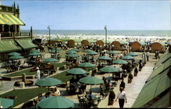 Hotel Dennis Postcard