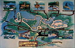Homosassa Springs Florida Postcard Postcard