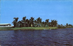Venice Gardens Postcard