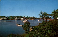 Harbor At Hyannis Postcard