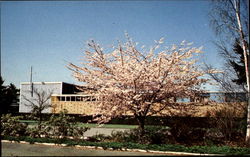 Sisters Of The Visitation Visitation Monastery And Retreat Center Federal Way, WA Postcard Postcard