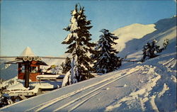 The Mt. Pilchuck Upper Terminal Postcard