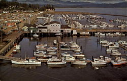 Port Basin Ilwaco, WA Postcard Postcard