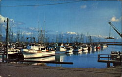 Port Basin Ilwaco, WA Postcard Postcard