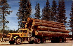 Logging In Washington And Oregon Postcard Postcard