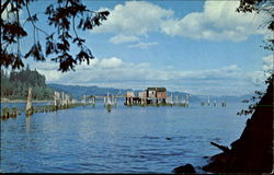 Hungry Harbor Scenic, WA Postcard Postcard