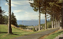 View From Fort Columbia Scenic, WA Postcard Postcard