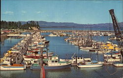 Port Basin Ilwaco, WA Postcard Postcard