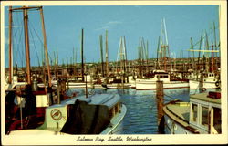 Salmon Bay Postcard