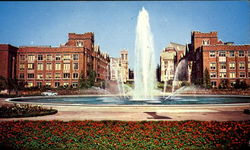 University Of Washington Stadium Postcard