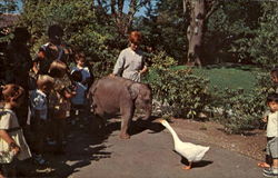 Woodland Park Postcard