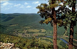 Pine Creek, Rt. 414 Postcard