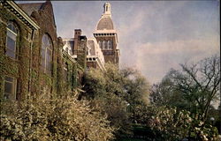 Spring View Of The Campus, Washington & Jefferson College Postcard