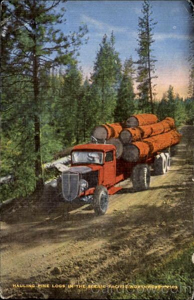 Hauling Pine Logs Logging