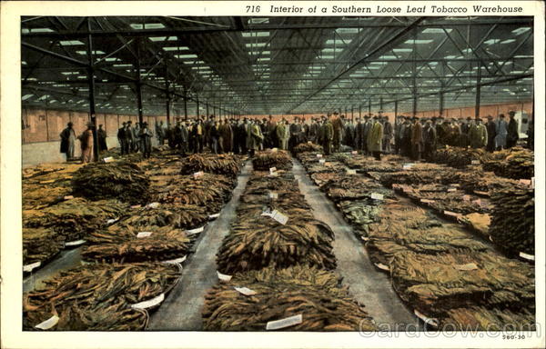 Interior Of A Southern Loose Leaf Tobacco Warehouse