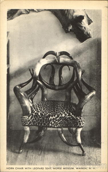 Horn Chair With Leopard Seat, Morse Museum Warren New Hampshire