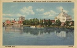 Scene On Saginaw River Postcard
