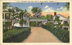 Driveway And Side View Of Holly Hedge Postcard