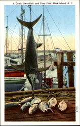 A Catch Swordfish And Tuna Fish Block Island, RI Postcard Postcard