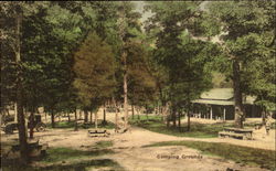 Camping Grounds New Market, VA Postcard Postcard