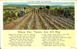 Tater Time In Maine Postcard