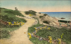 The Marginal Way The Marginal Way