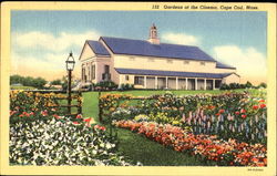 Gardens At The Cinema Postcard