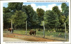 Brush Valley Game Preserve, Route No. 56 Pennsylvania Postcard Postcard