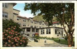 Hotel St. Catherine Postcard