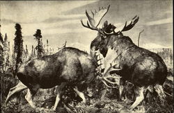 Stock #131344 Thumbnail