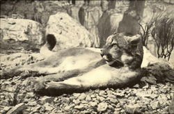 Stock #131348 Thumbnail