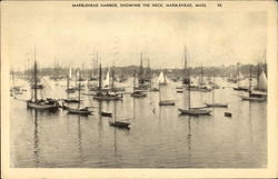 Marblehead Harbor Showing The Neck Postcard