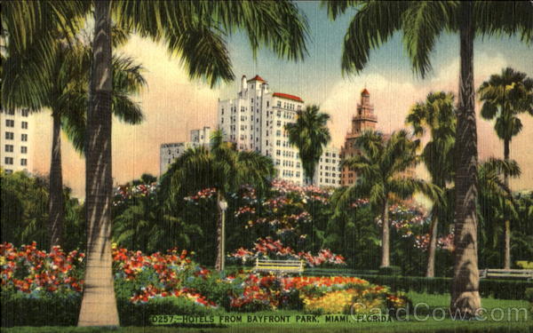 Hotel From Bayfront Park Miami Florida