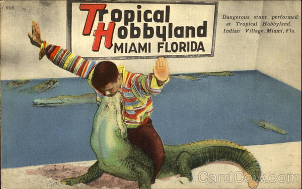 A Dangerous Stunt Miami Florida