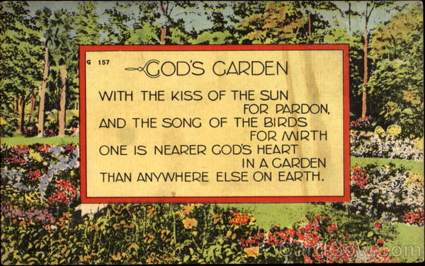 God S Garden Florida Poems Poets