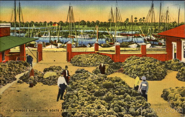 Sponges And Sponge Boats Tarpon Springs Florida