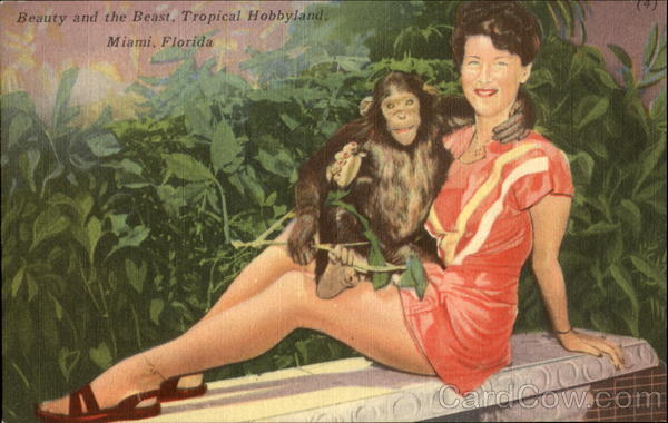 Beauty And The Beast Miami Florida