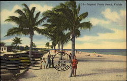 Tropical Dania Beach Postcard