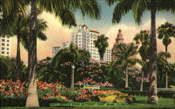Hotel From Bayfront Park Postcard