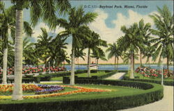 Bayfront Park Postcard