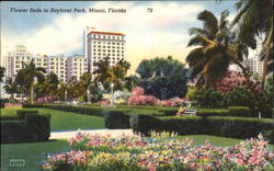 Flower Beds In Bayfront Park Postcard
