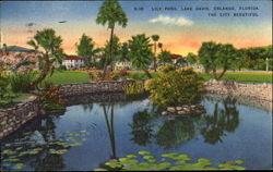 Lily Pond, Lake Davis Postcard