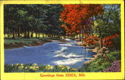 Greetings From Essex Missouri Postcard Postcard