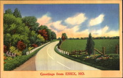 Greetings From Essex Postcard