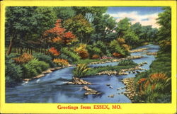 Greetings From Essex Postcard