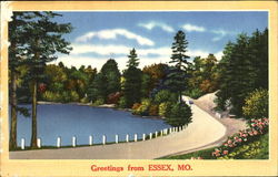 Greetings From Essex Missouri Postcard Postcard