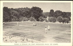 Camp Sherwood Boyne City, MI Postcard Postcard