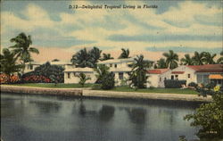 Delightful Tropical Living In Florida Postcard